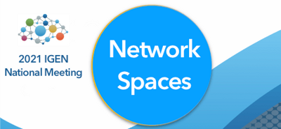 IGEN Virtual Network Spaces