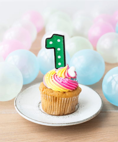 IGEN celebrates one year