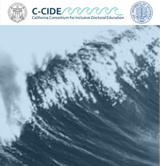 C-CIDE Logo + Seals + Swell Composite (sm)